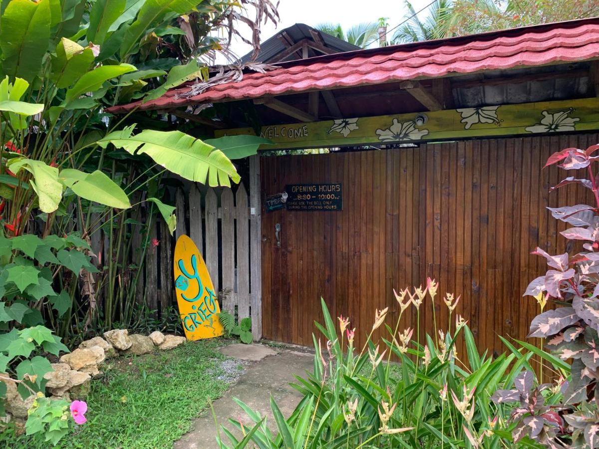 Surf Camp *