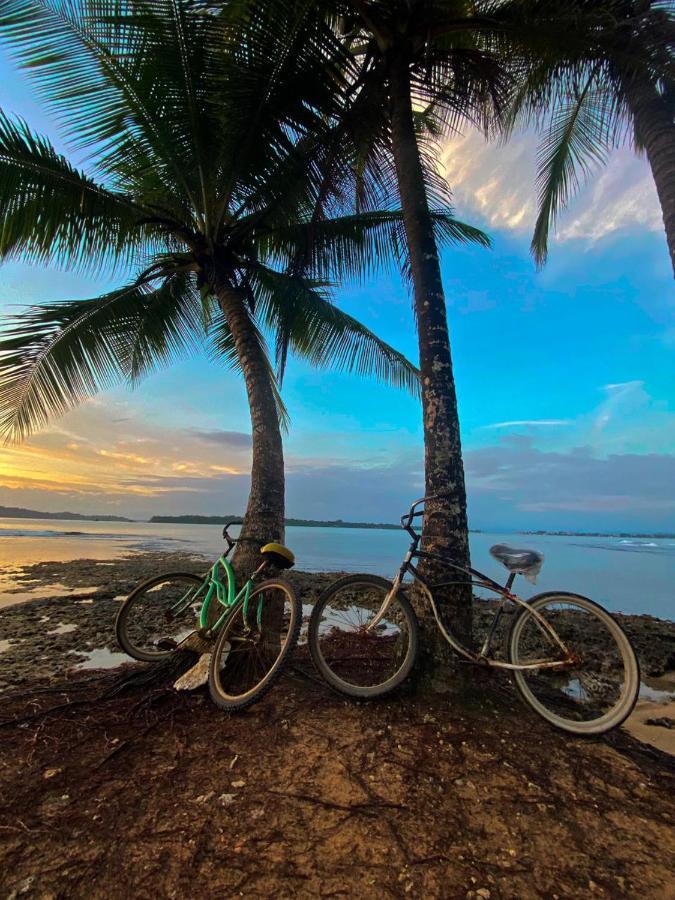 Camping Surf Camp *