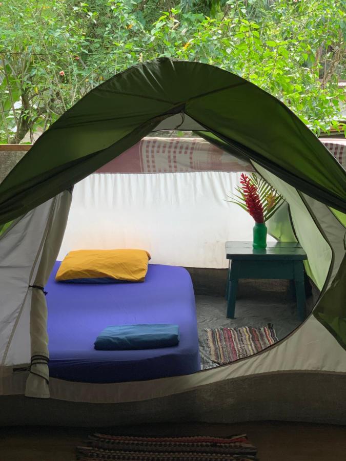 Camping Surf Camp *