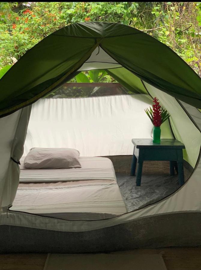 Surf Camp Camping