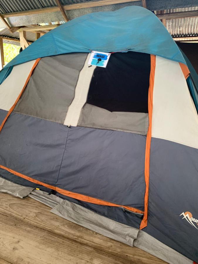 Camping Surf Camp