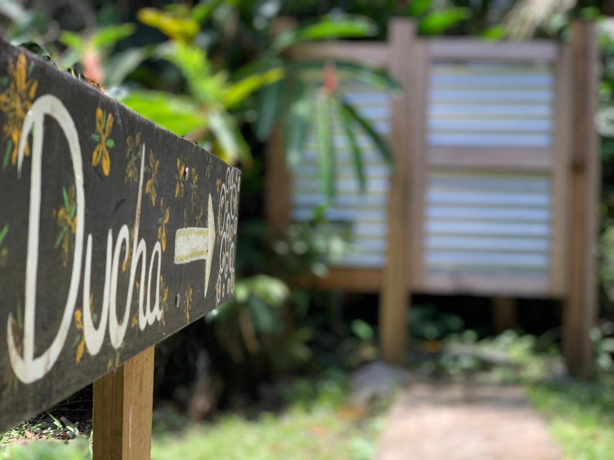 Surf Camp *