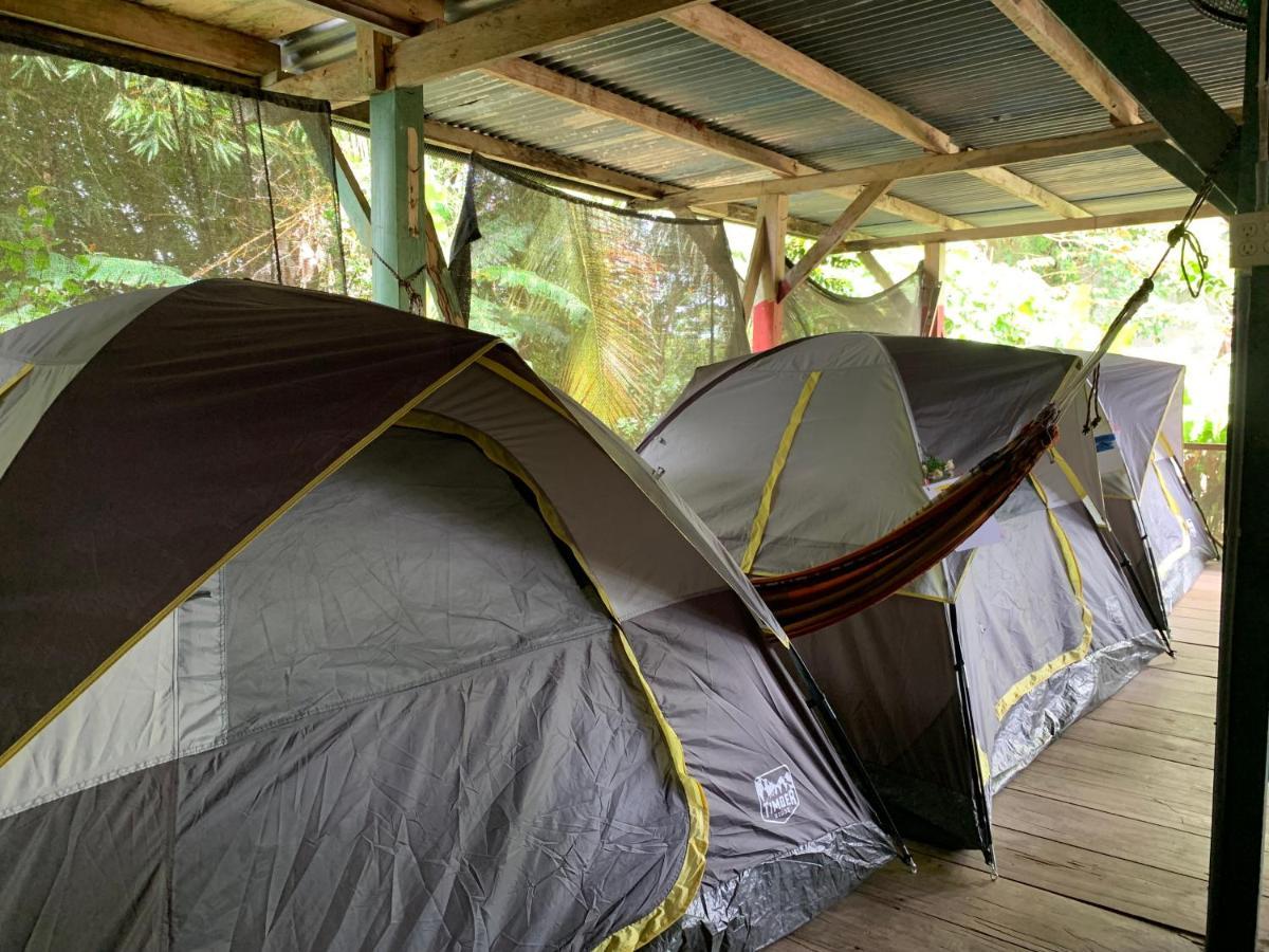 Camping Surf Camp *