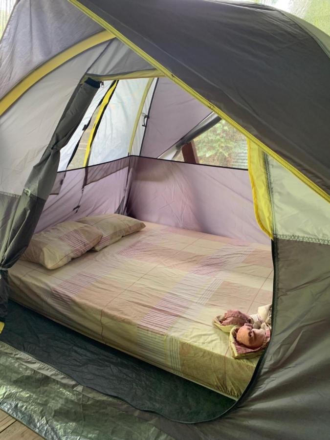 Camping Surf Camp