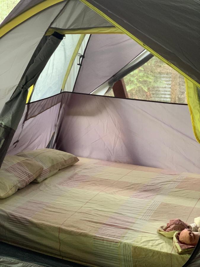 Camping Surf Camp Bocas del Toro