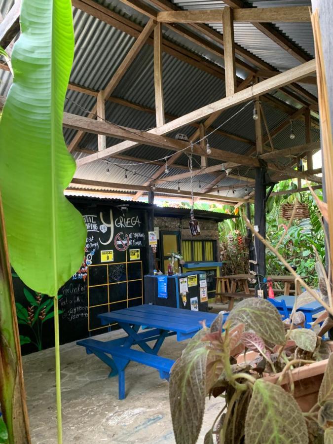 Surf Camp