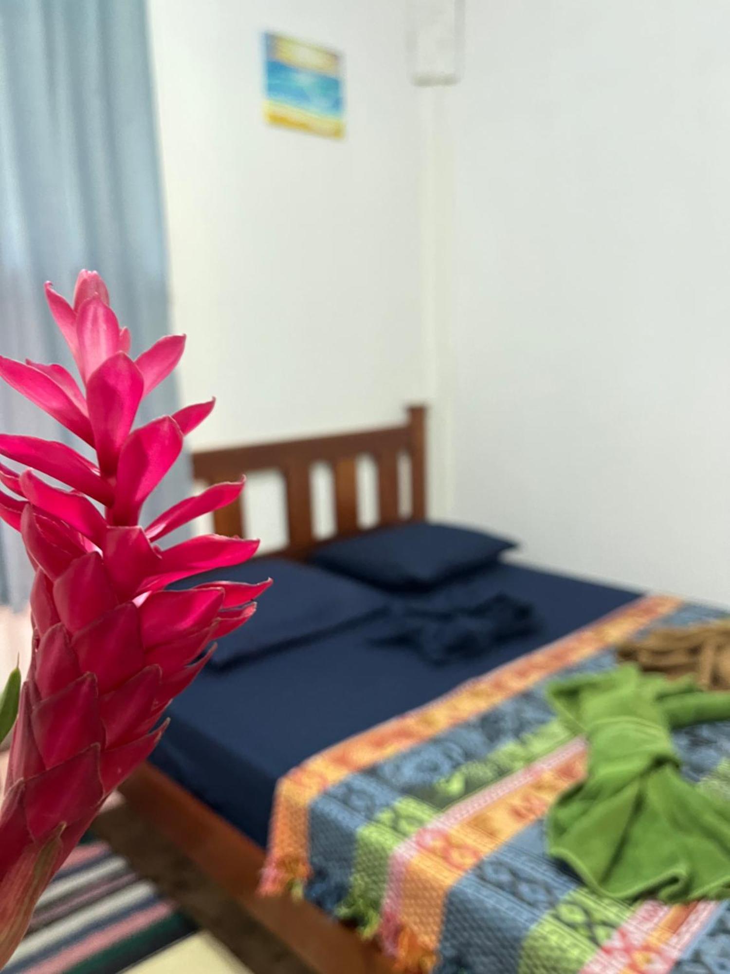Surf Camp Bocas del Toro