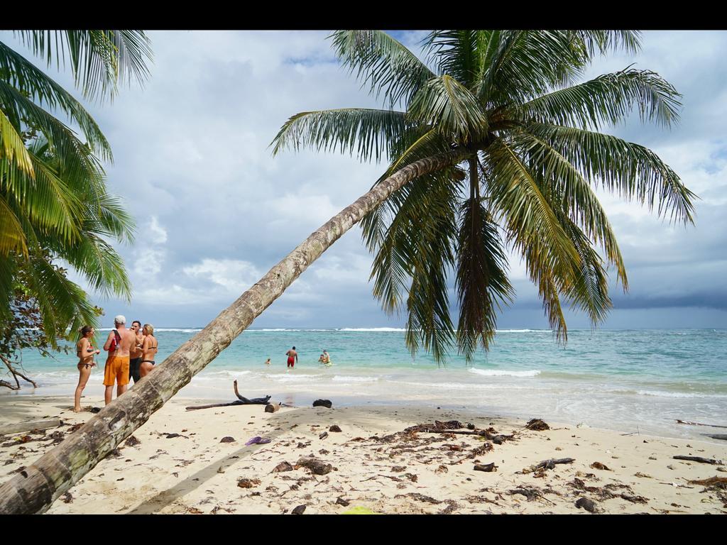 Camping Surf Camp Bocas del Toro